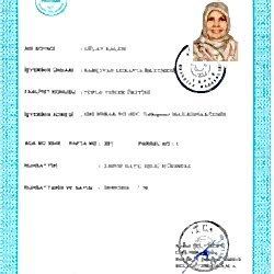 3-GSM (Gayrı Sıhhi Müessese) RUHSATI